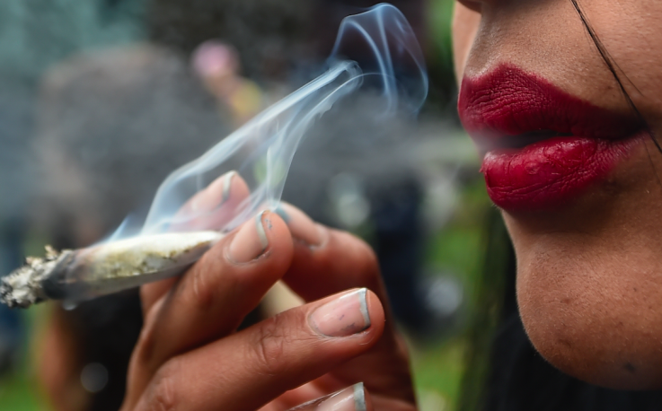 Cannabis and Publishing Cannabis and Publishing