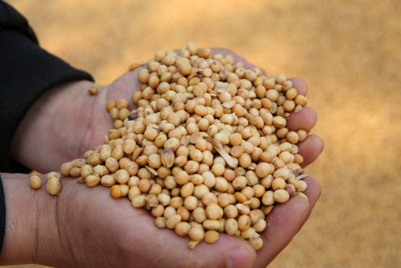 China US trade war soybeans tariffs Trump