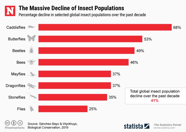 Insection Population Declines