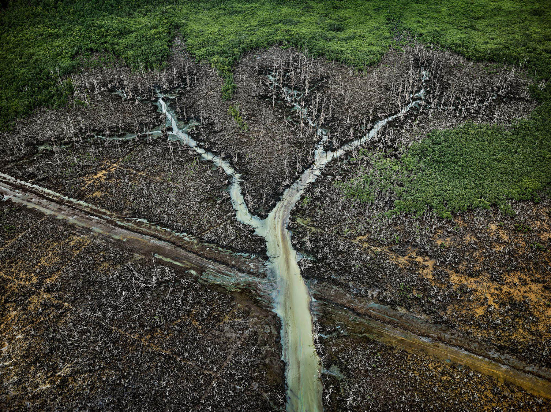 Edward Burtynsky on capturing human-altered landscapes