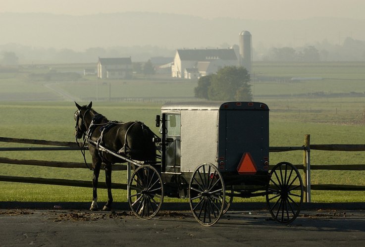 Amish buggy Amish buggy