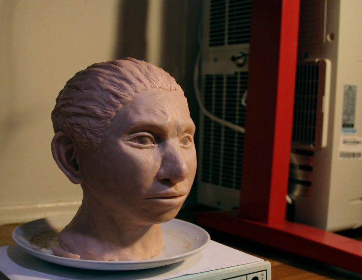 denisovan-reconstruction-preliminary denisovan-reconstruction-preliminary