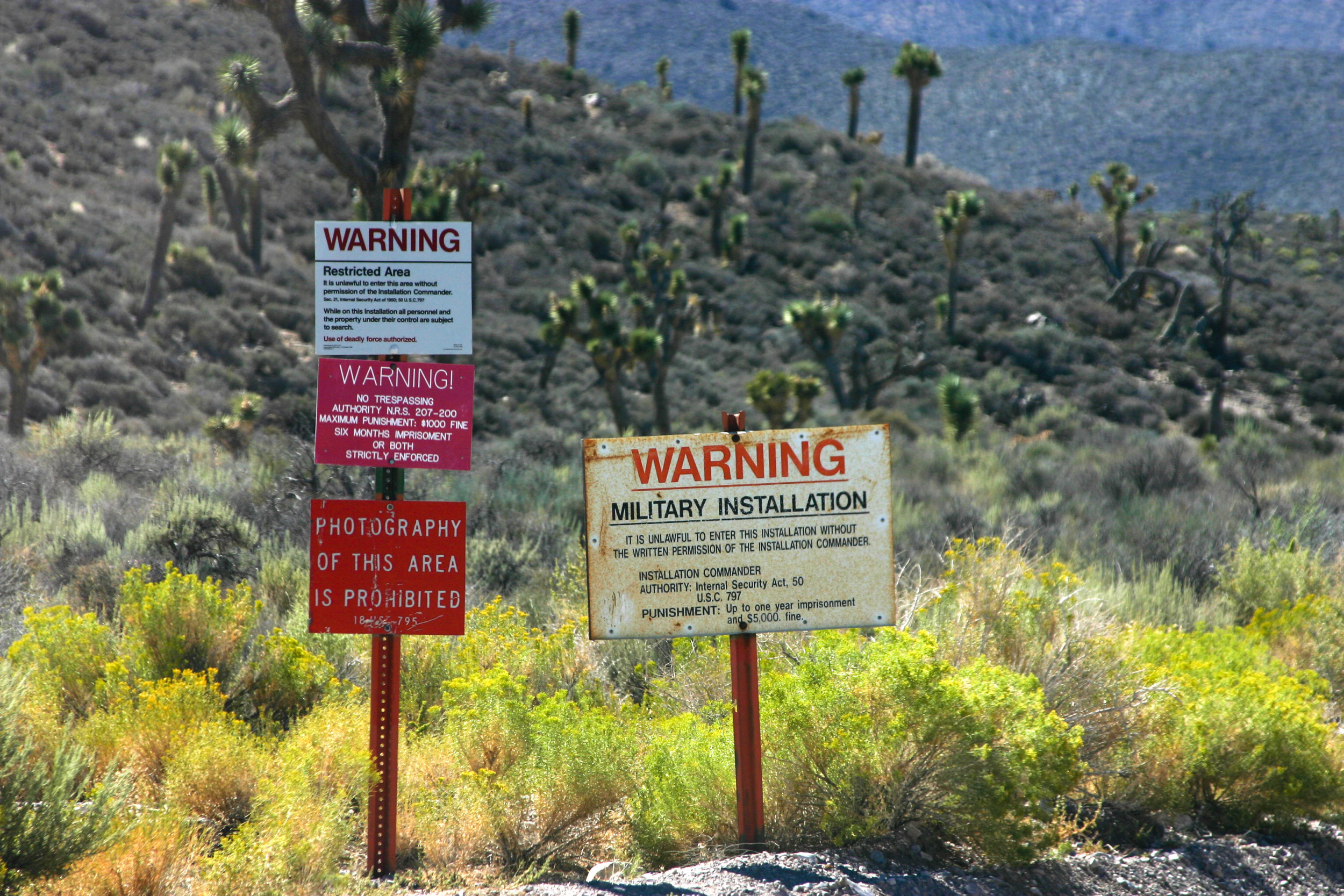 Area 51 Raid Live Stream Time and Location Details As Thousands