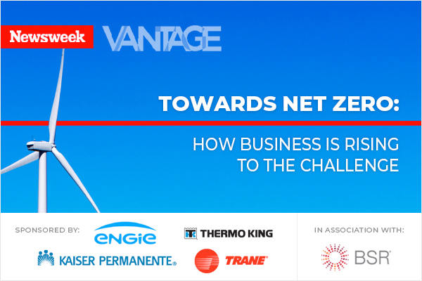 Net Zero: How Business is Rising to the Challenge