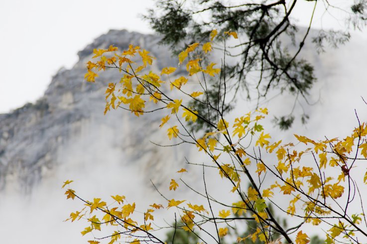 happy fall images autumn pictures happy fall images autumn pictures