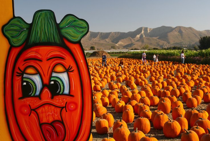 pumpkin fall images first day autumn pumpkin fall images first day autumn