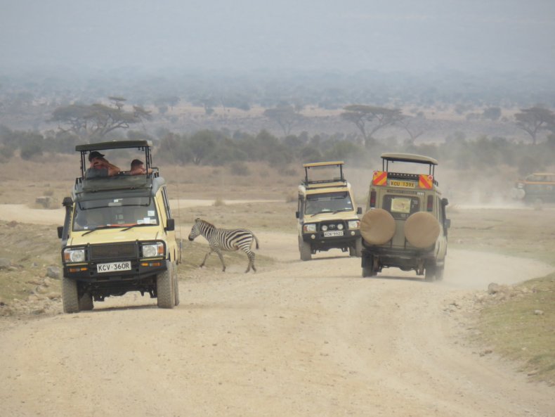 safari kenya out adventures