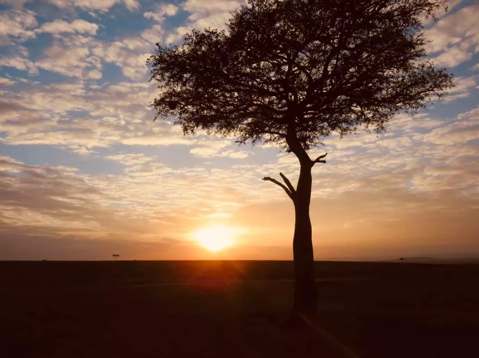 scarpe kobe 3 italia
