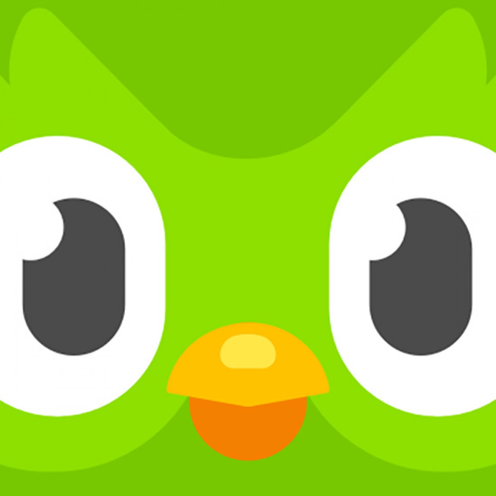 Duolingo Accused Of Racism After Spanish Language Curriculum Includes Phrases Like Are They Legal