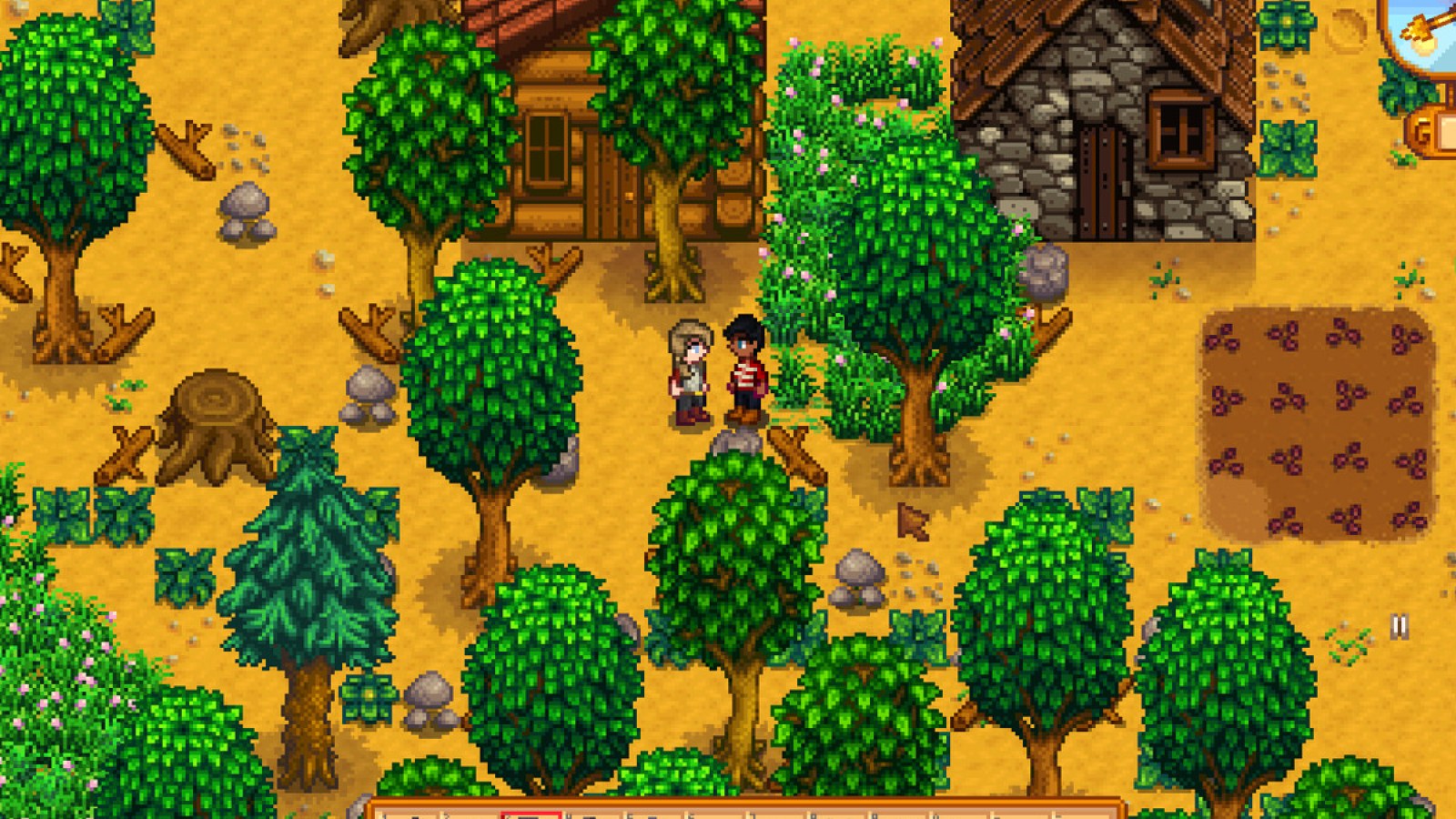 Stardew Valley 2 to 4 Player Local Split Screen Coop PC Setup 