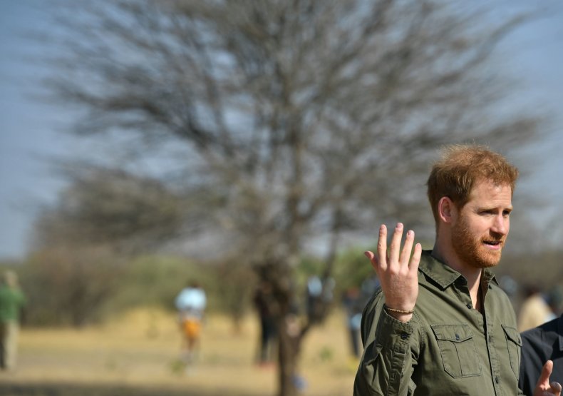 Prince Harry, Duke of Sussex