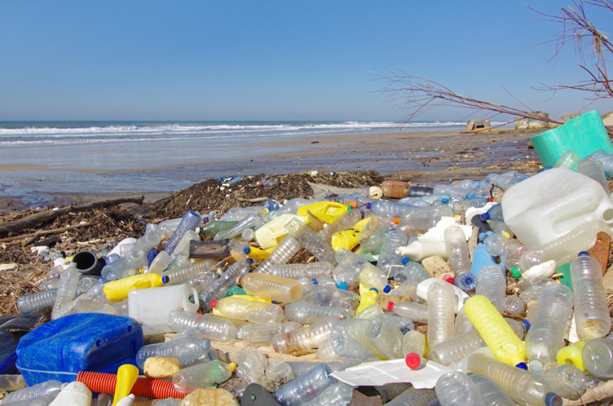 Plastic bottles on a beach in France