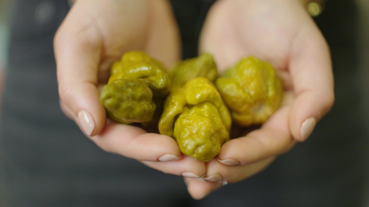 Pepper X Pepper X