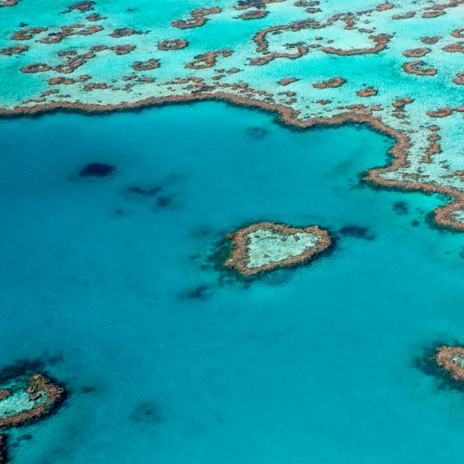 Part Of Australia S Great Barrier Reef Has Been Ravaged By Climate Change And Cyclones Unlikely To Recover Part Of Australia S Great Barrier Reef Has Been Ravaged By Climate Change And Cyclones Unlikely To Recover
