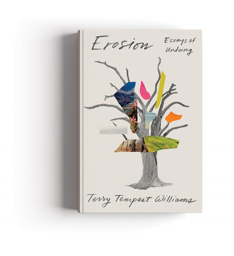 CUL_Books_Nonfiction_Erosion Essays of Undoing