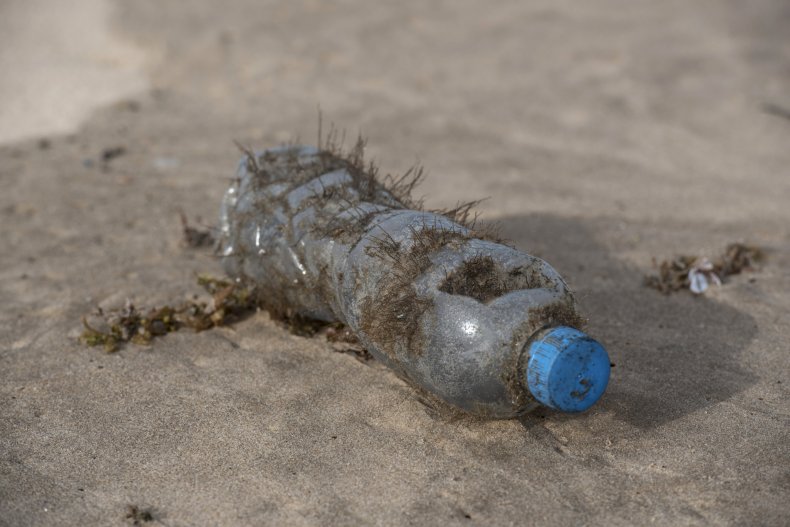 plastic bottle, pollution