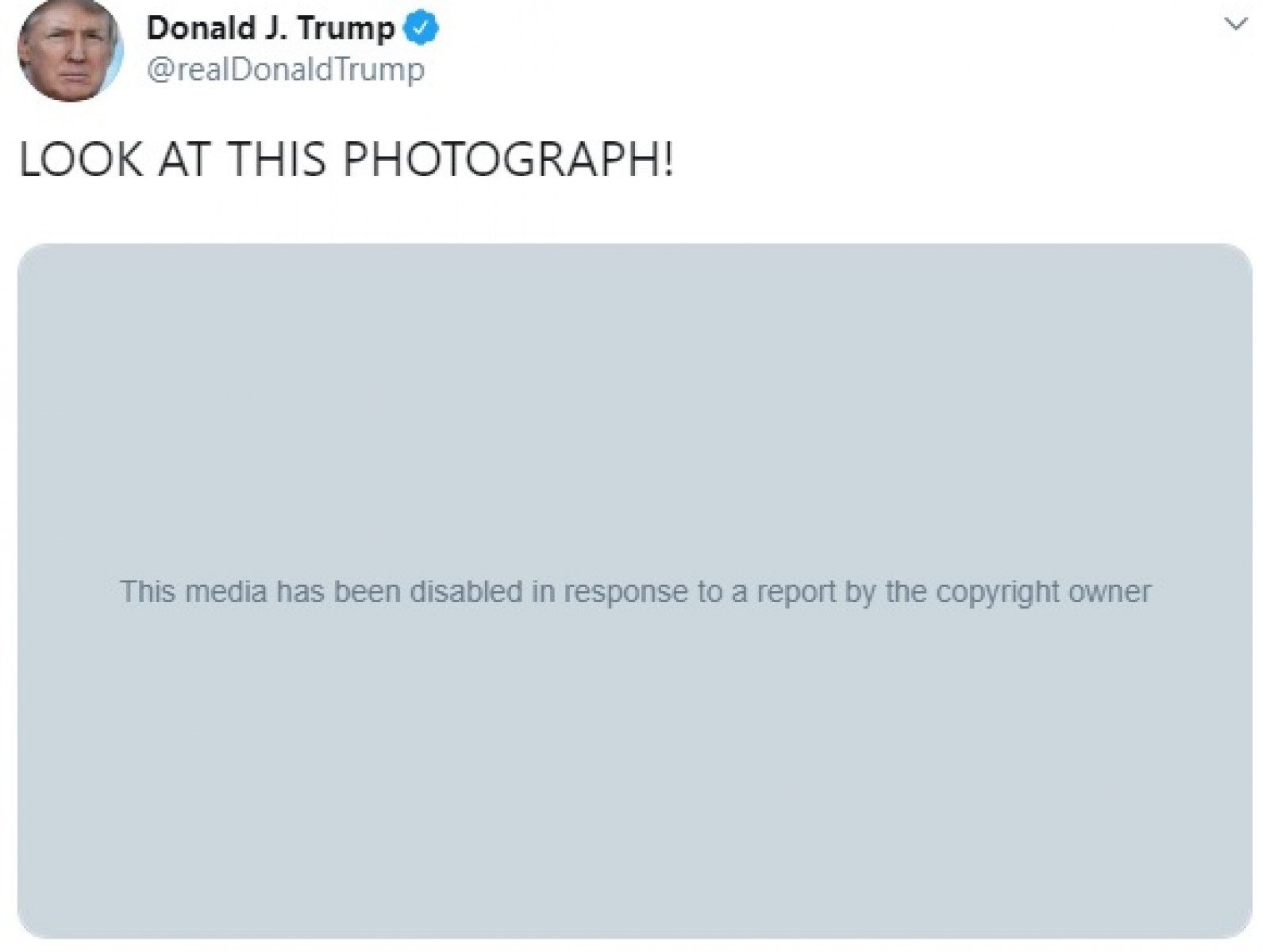 Twitter Removes Donald Trump S Nickelback Photograph Meme Video