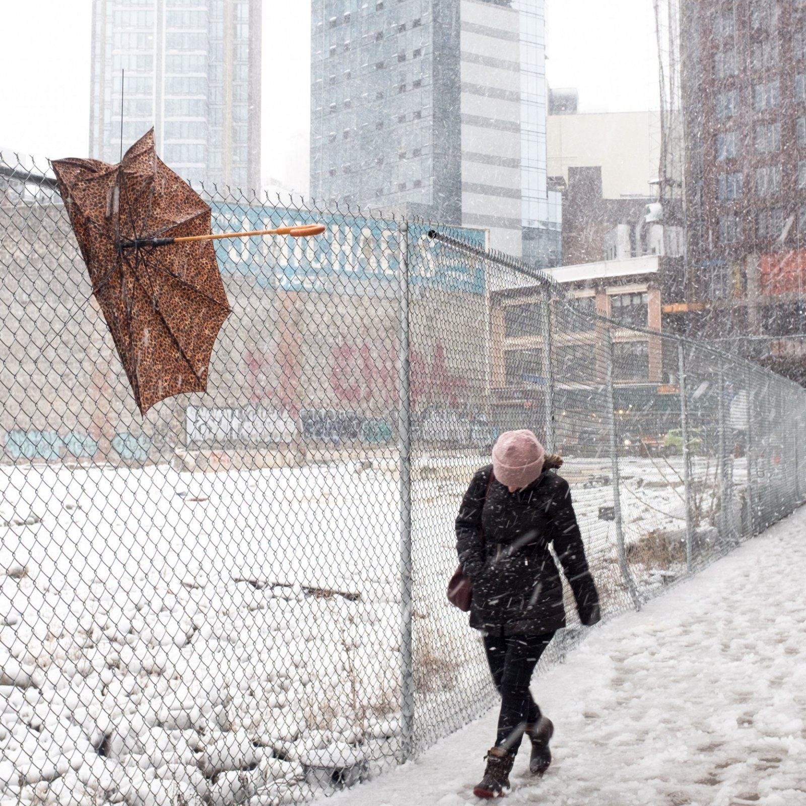 How Bad Will Winter Be 2019 Winter Outlook Shows Extreme