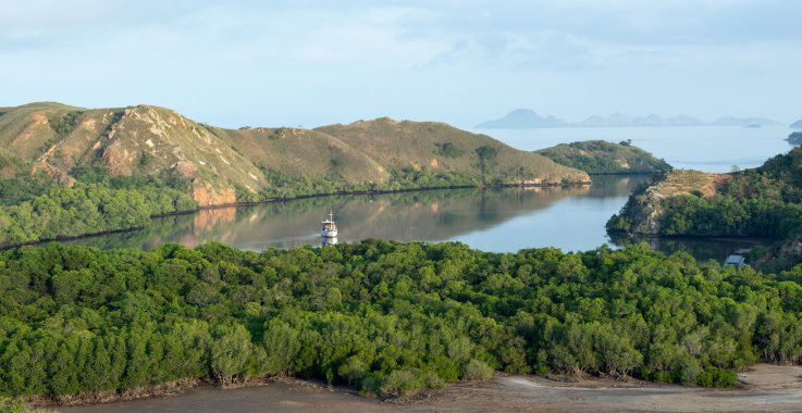 flores island flores island