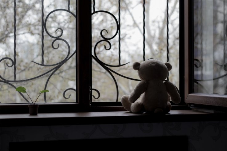 sad bear stock photo sad bear stock photo