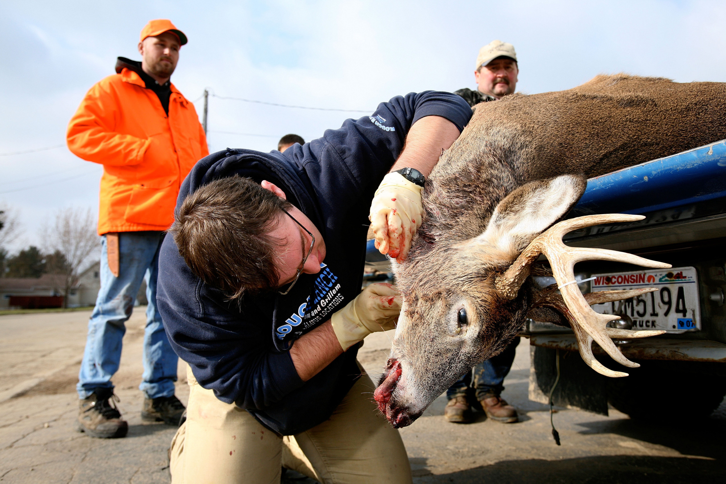 Zombie Deer Disease Chronic Wasting Disease 