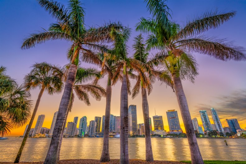 8 Great Things to Do in Miami