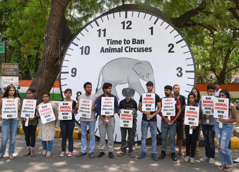 PETA CIrcus protest