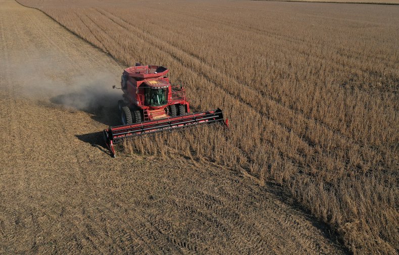 Soybean farms
