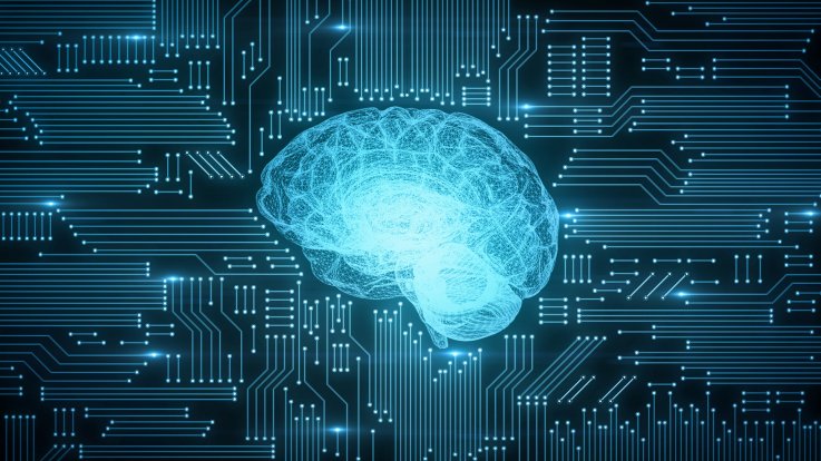 brain computer brain computer