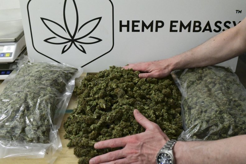 Employee Weighs Marijuana Buds