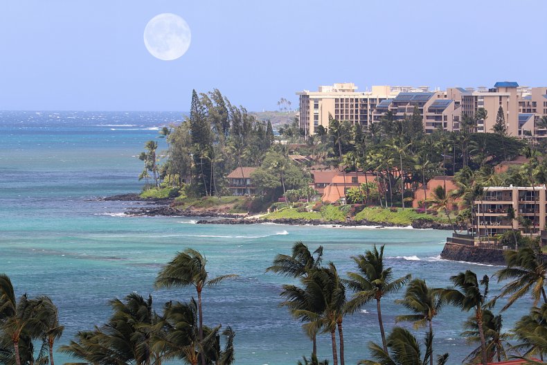 Sallie Mae Executives Celebrate in Hawaii as Americans Are Crippled By Student Loan Debt