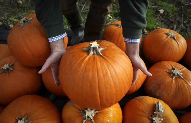 pumpkin patch