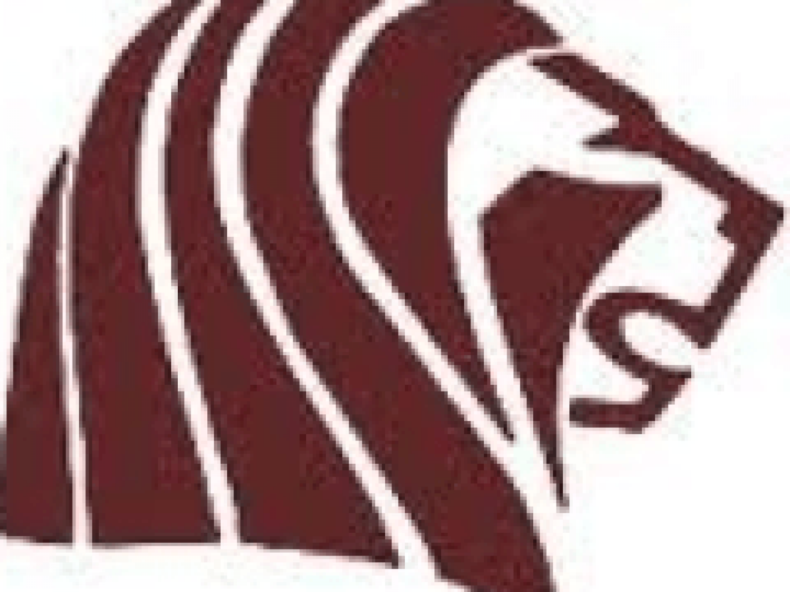 Undefeated Football Team Forfeits Entire Season Fires Coaching