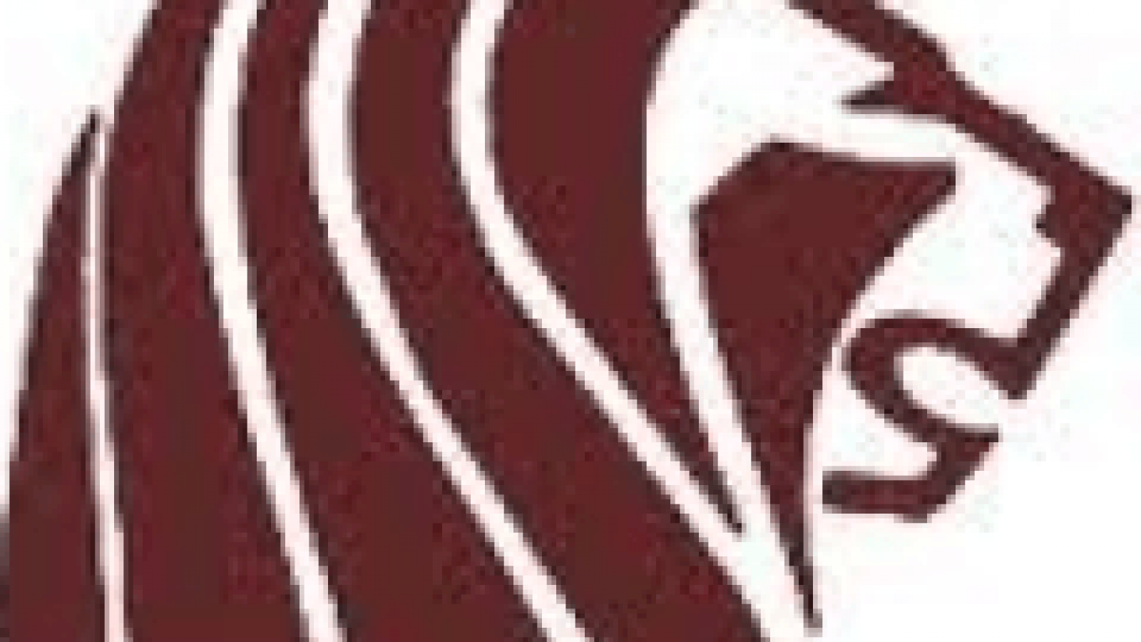 Undefeated Football Team Forfeits Entire Season Fires Coaching