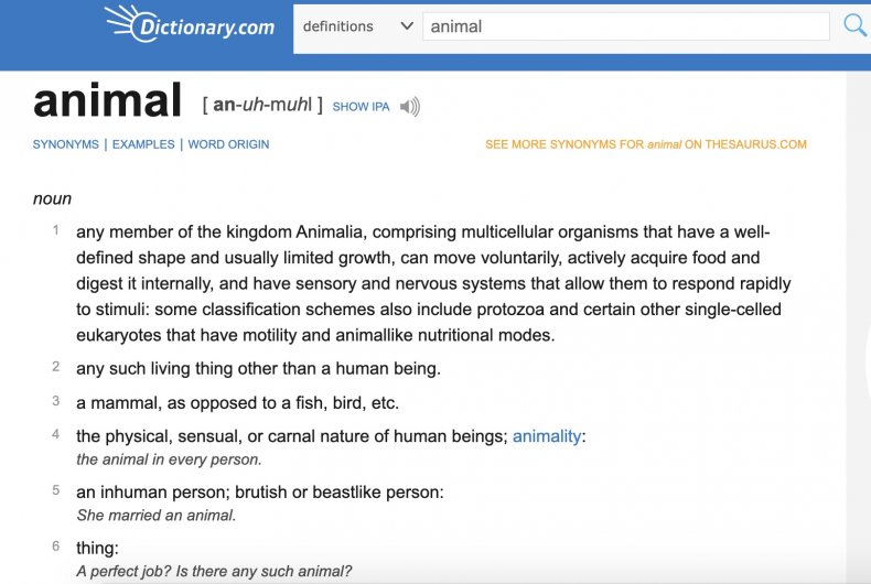 Animal definition on Dictionary.com