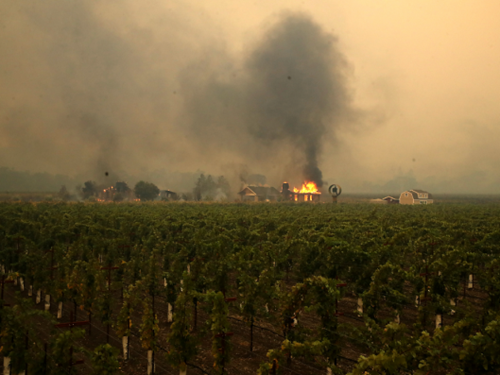 Sonoma And Napa Wineries In Ruins As Wildfires Tear Through Region Sfgate