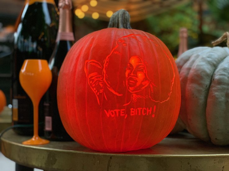 Vote Bitch
