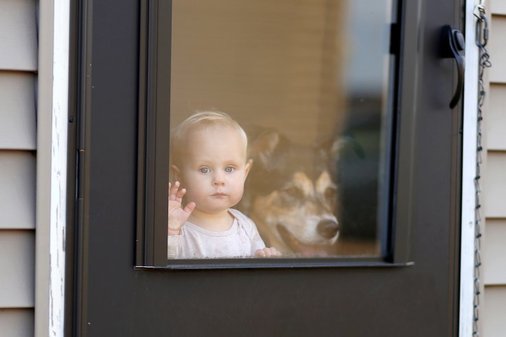 baby, girl, dog, pet, home, neglect, stock,getty