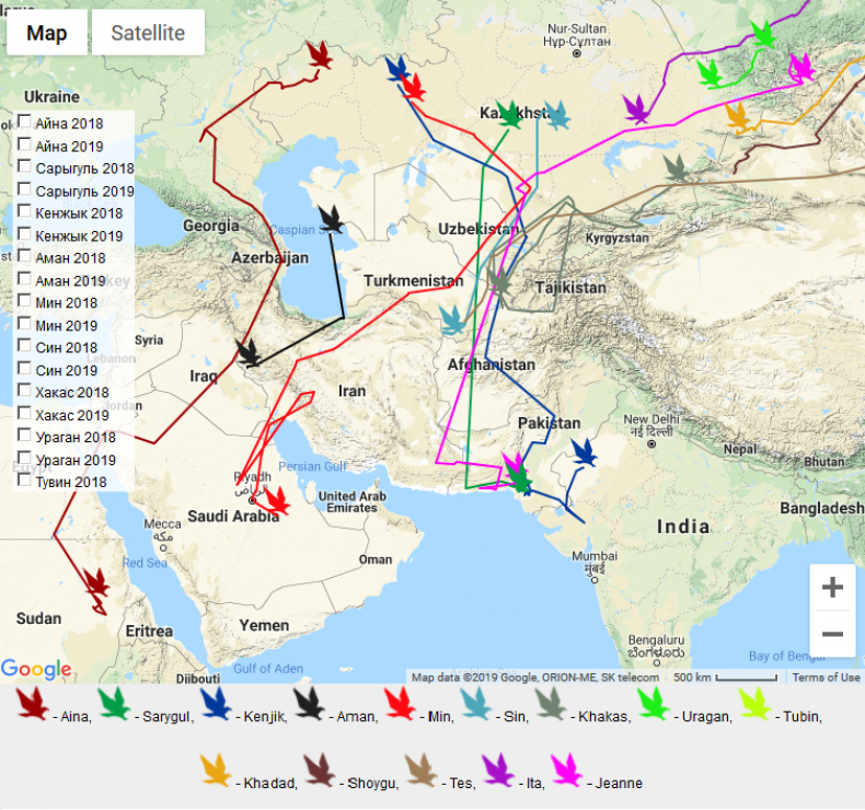 Map of Russian eagle migrations