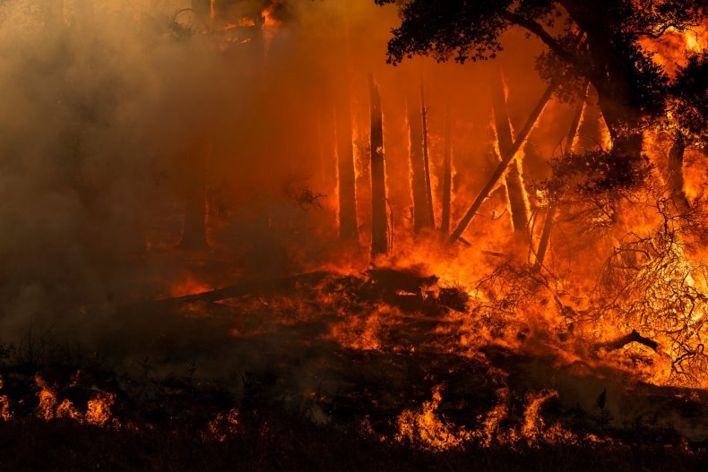 kincade fire
