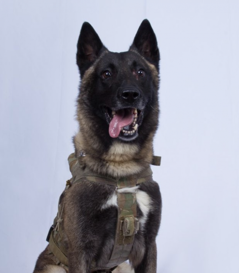 HeroDog_28Oct2019