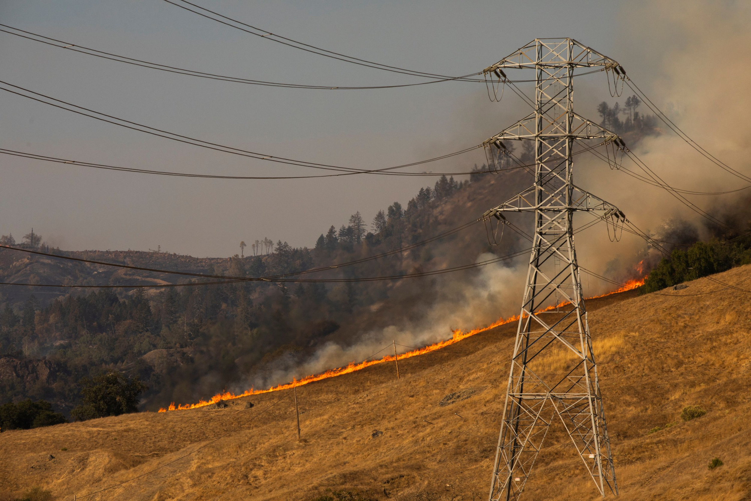 How Did The California Wildfires Start Kincade Fire Linked To Pgande