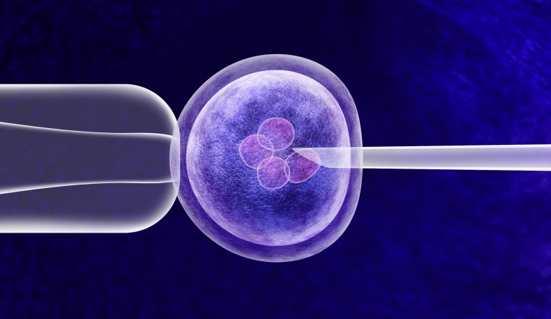 in vitro fertililzation in vitro fertililzation