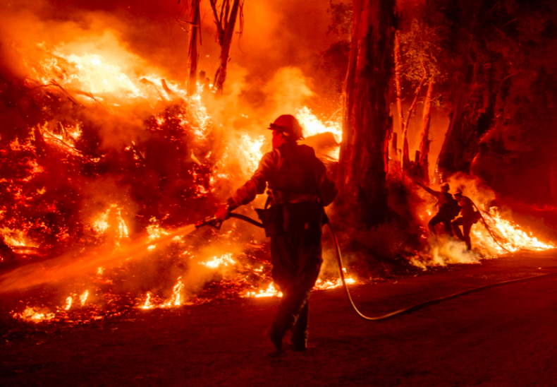 Maria Fire