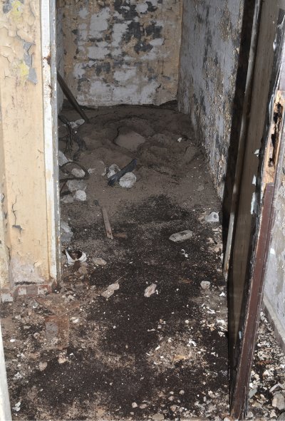 nuclear bunker ants nuclear bunker ants