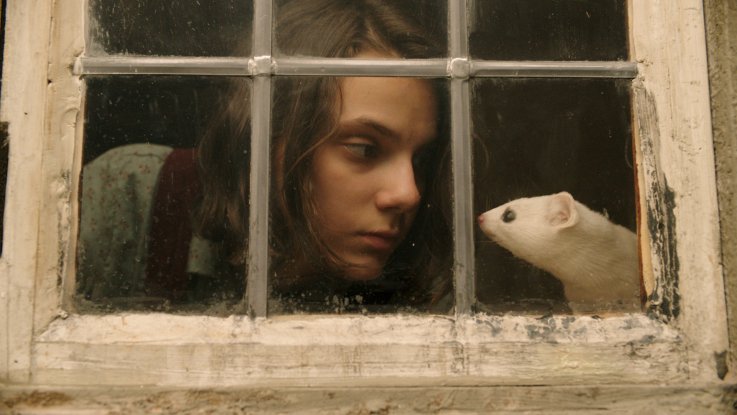 his dark materials daemons his dark materials daemons