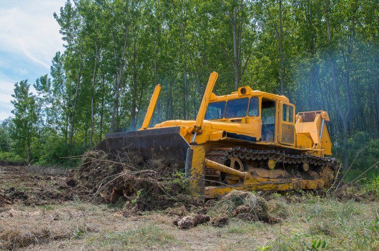bulldozer, construction, trees bulldozer, construction, trees