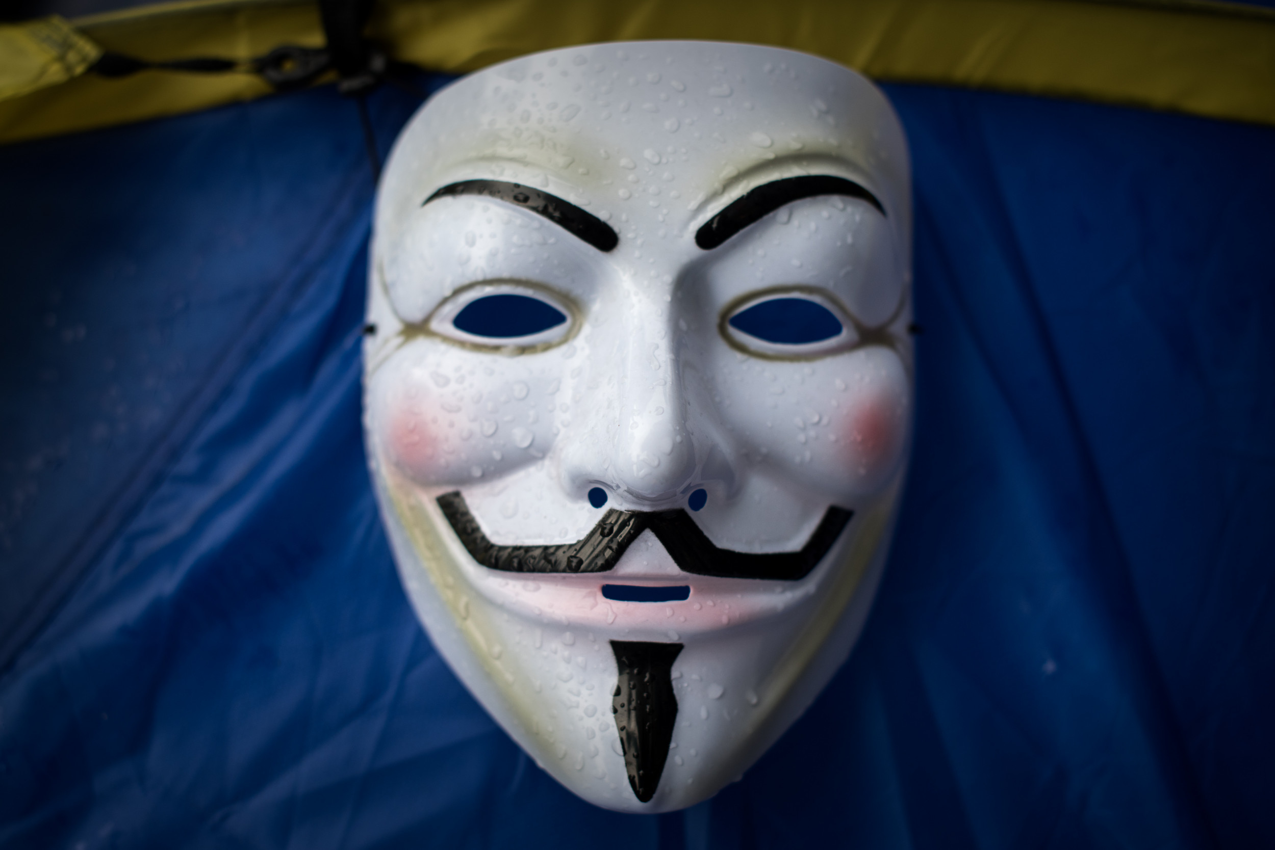 Guy Fawkes Mask Brisbane At Juan Maguire Blog Guy Fawkes Mask Brisbane At Juan Maguire Blog