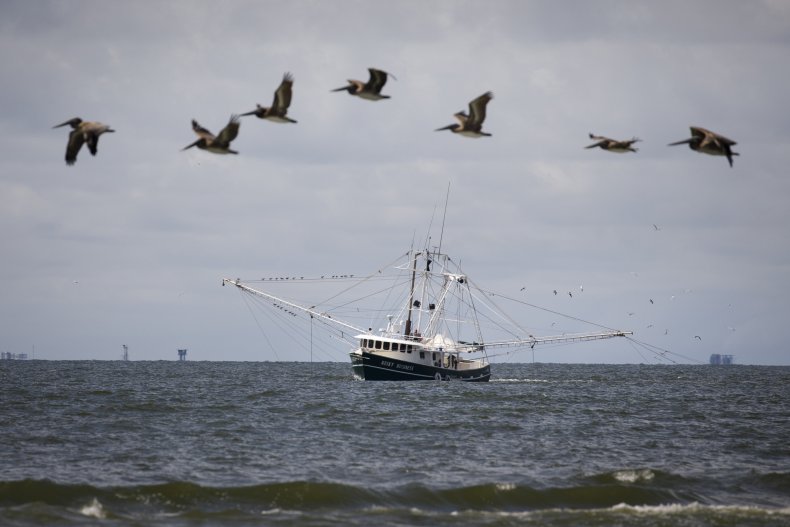 trawler in louisiana
