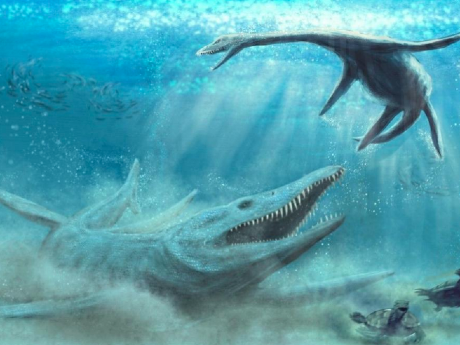 33-foot-long 'Sea Monster' That 'Hunted All Animals' Found Surrounded by  Ancient Crocodile Skulls and Teeth